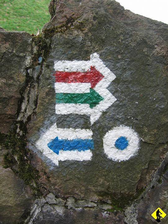 foto 019.jpg - Pozostawiamy zielony i zaczynamy niebieski, który to ma nas poprowadzić do Srebrnej Góry ( ale przez Mokry Dół ?! ).